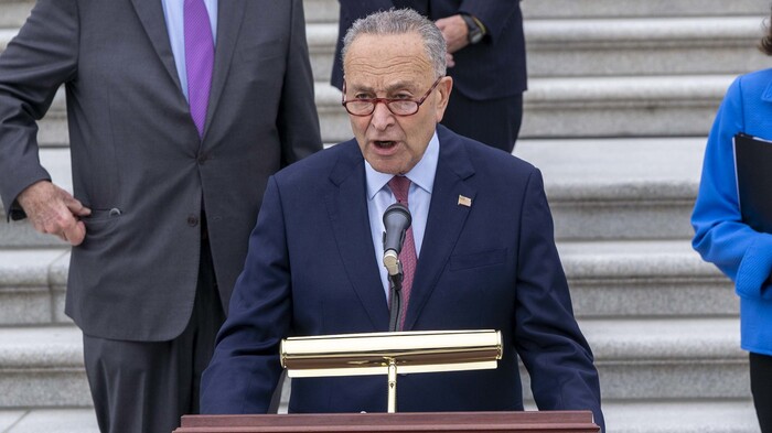 FBI should assess Epstein threat, says Schumer