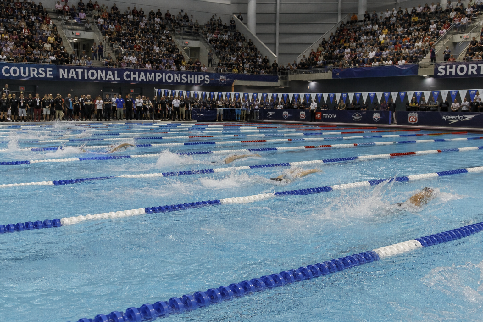 Athletic Organizations Grapple with Transgender Participation Rules