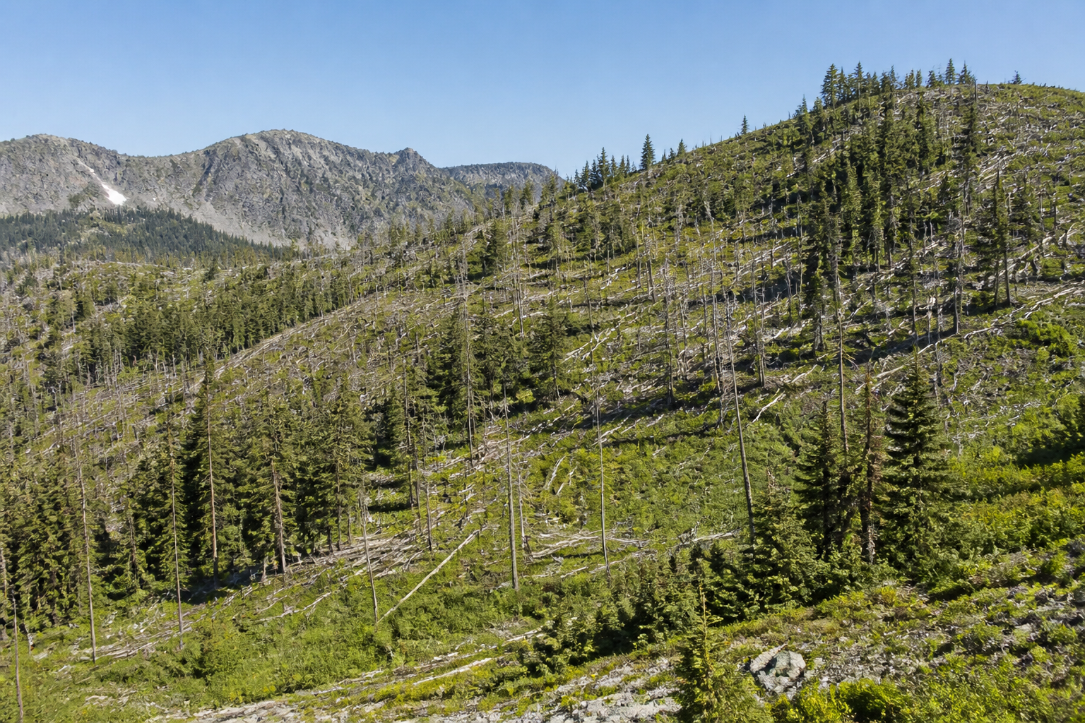 How Federal Land Management Shapes Wildfire Risk Across America