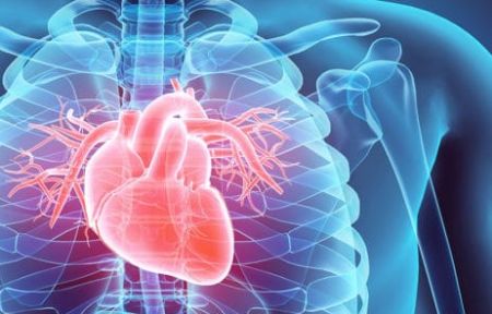 STATE REP.  HUNTER: Here's Some Tips to Help Control Your Future During 'Heart Health Month'