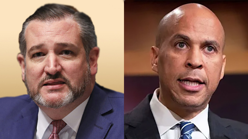 Sens. Cruz, Booker Urge Fortune 1000 CEOs to Back Trump Accounts