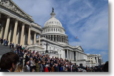 congress.capitol.steps