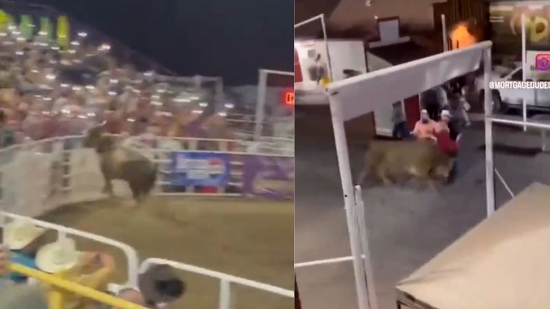 Bull escapes during rodeo in Oregon injuring three spectators | The ...