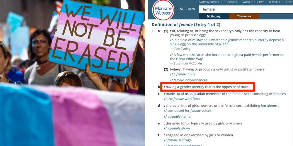 Dictionary definition of 'female' now includes 'males' who 'identify' as opposite sex