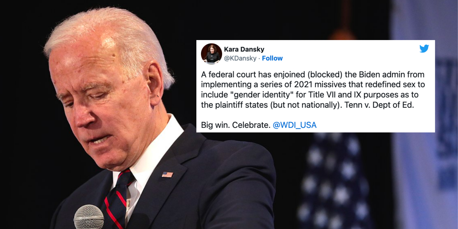 Federal court blocks Biden admin from conflating gender identity and biological sex in civil rights law