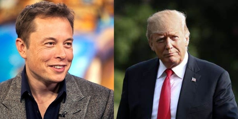 'Long live the Truth,' Trump celebrates Musk terminating Twitter deal