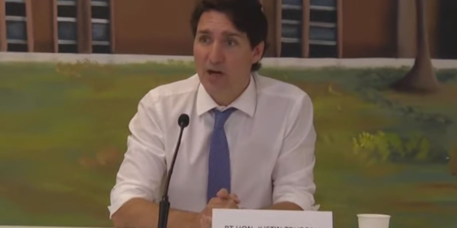 BREAKING: Trudeau slips up, says he is 'banning' firearms in Canada