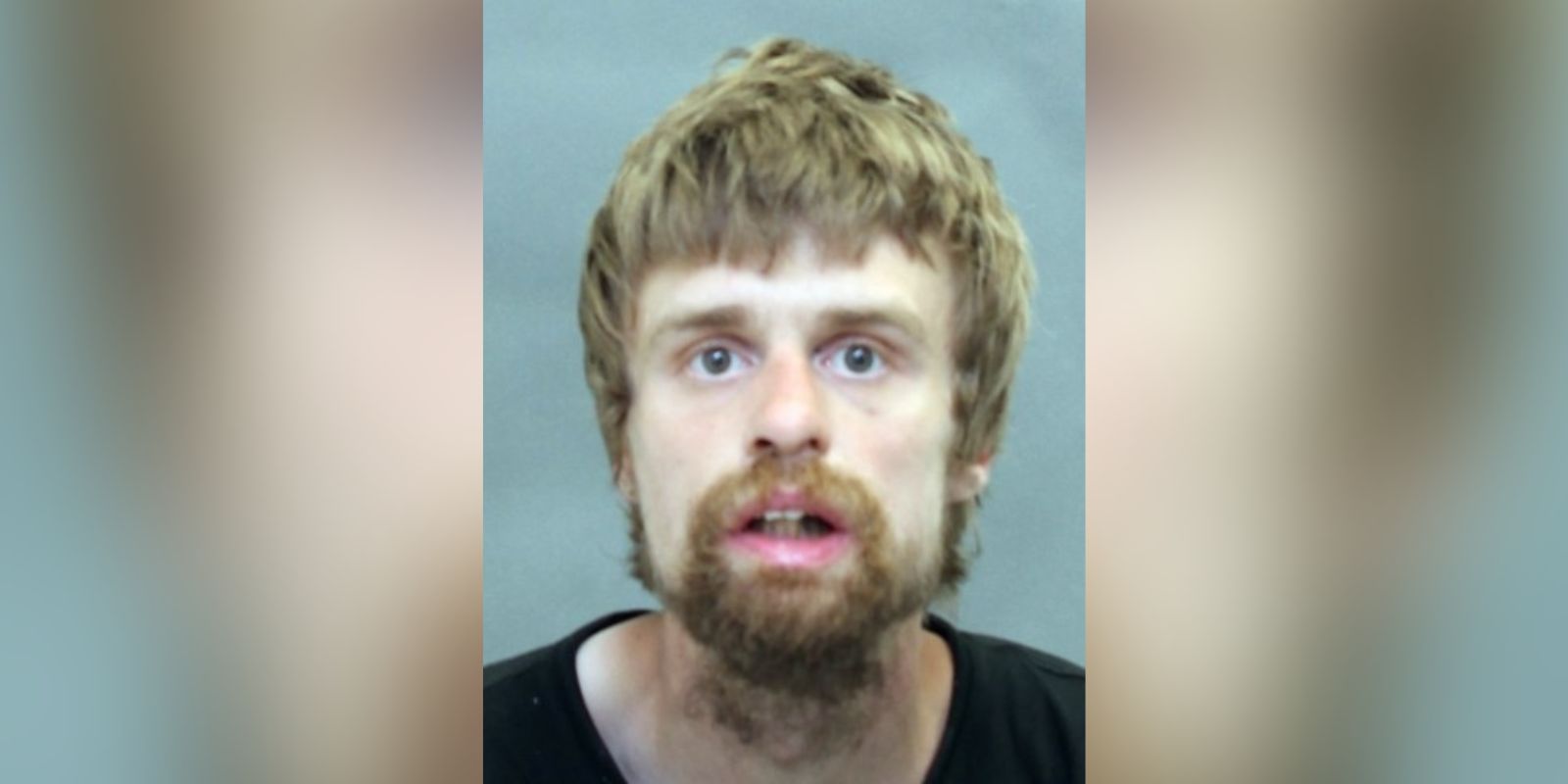 Woman with 'full goatee' has gone missing in Toronto: police