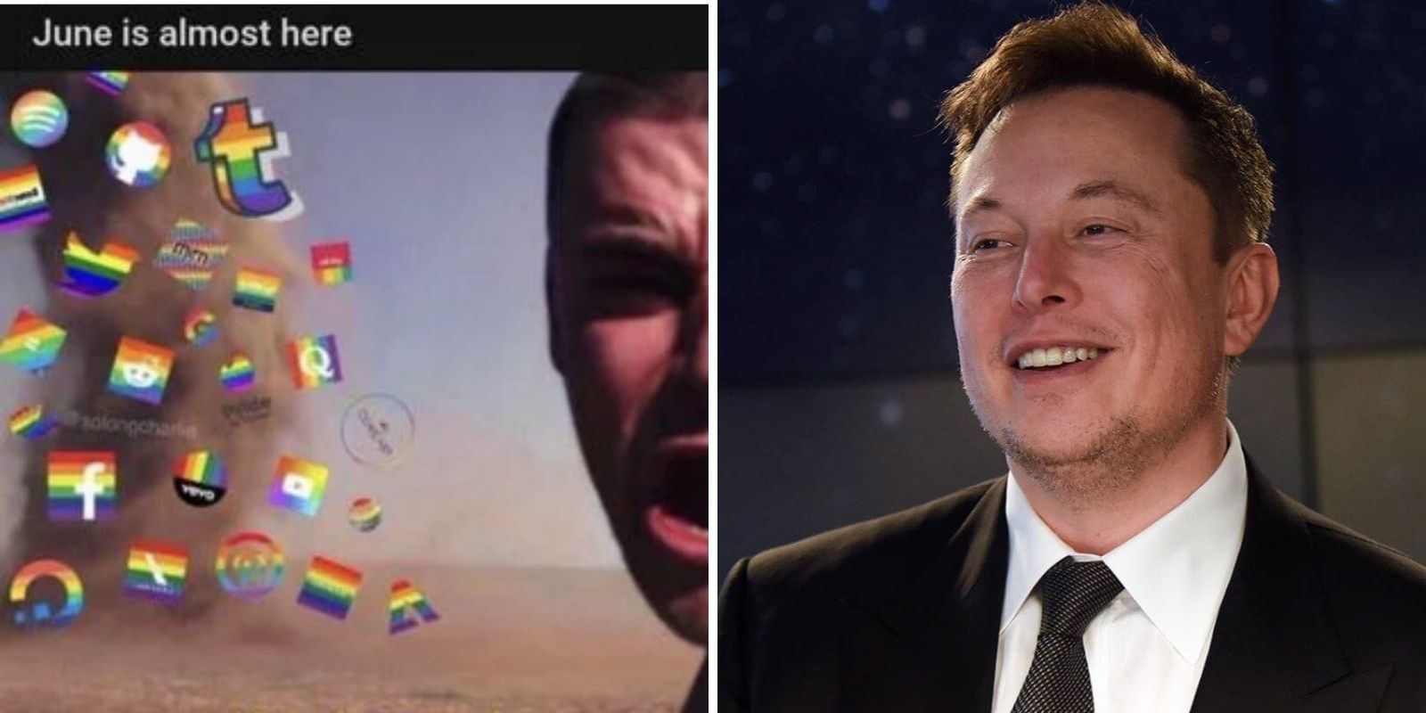 Elon Musk mocks woke corporations celebrating Pride Month with rainbow capitalism
