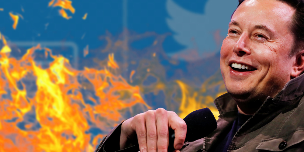 Twitter employees go 'absolutely insane' after Elon Musk buys company