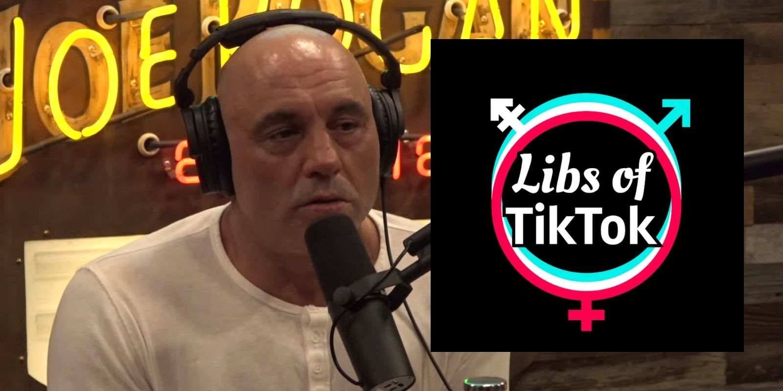 FLASHBACK: Joe Rogan said 'Libs of Tik Tok on Twitter is the best follow'