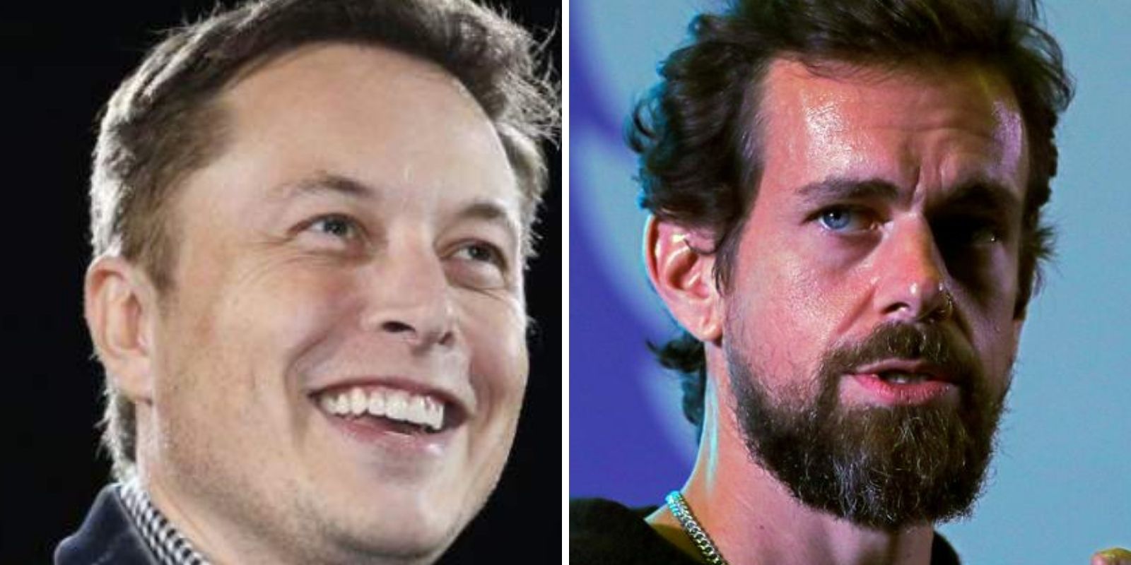 Elon Musk, Jack Dorsey SLAM Twitter board after revelation that members hardly own any shares at all