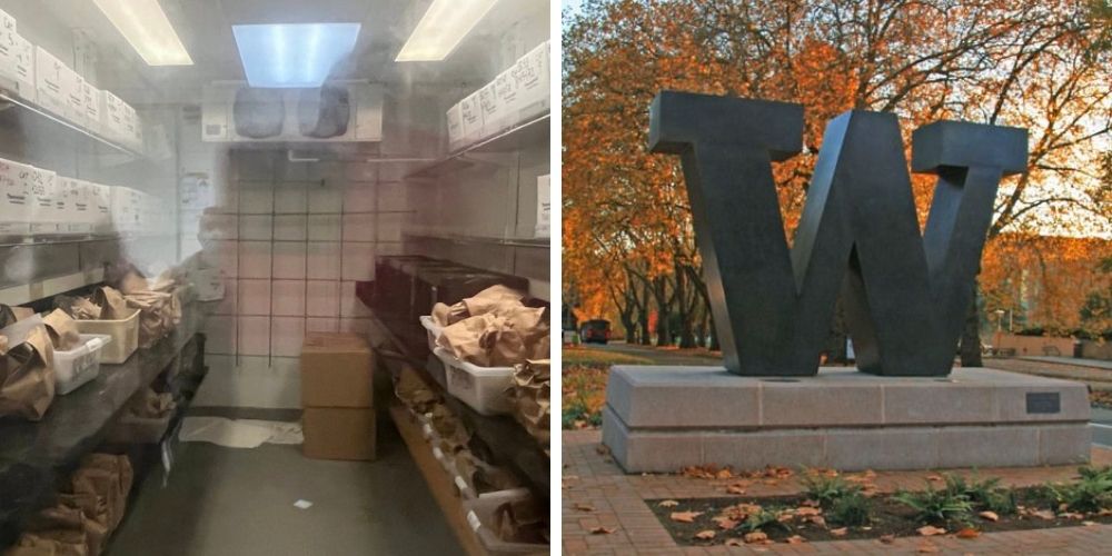Aborted fetuses reportedly stored in paper bags at University of Washington