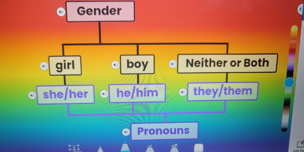 First-graders given 'gender identity' homework in Washington state