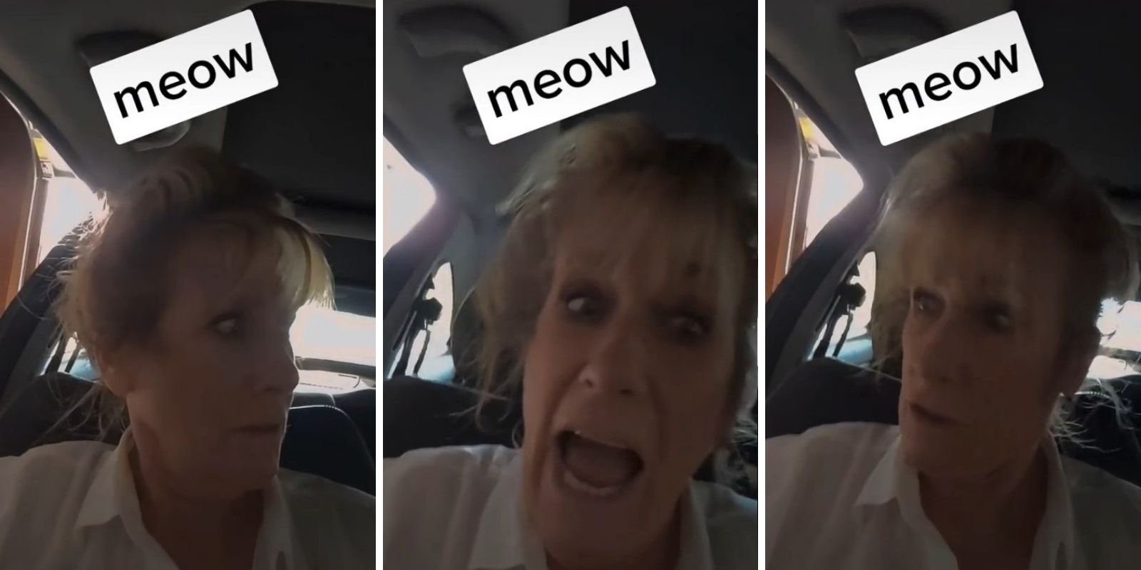 Teacher alleges she was fired for not 'meowing' back at student who identifies as a cat