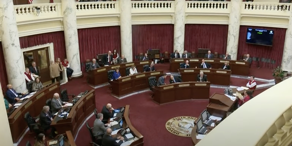 Idaho Senate blocks bill banning genital mutilation surgery for minors