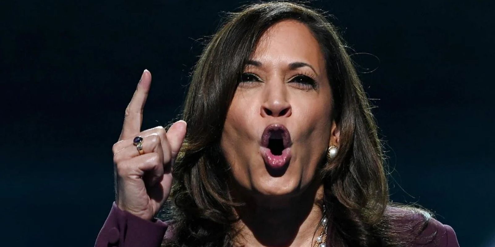 Kamala Harris aides forced to endure 'soul-destroying criticism' from 'bully' VP: ex-staffer