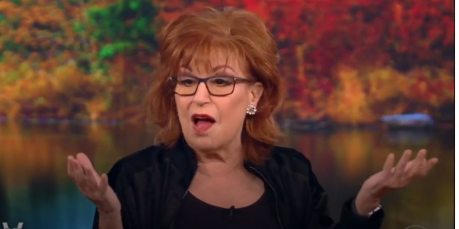 WATCH: Joy Behar recommends that people come out as gay during Thanksgiving dinner