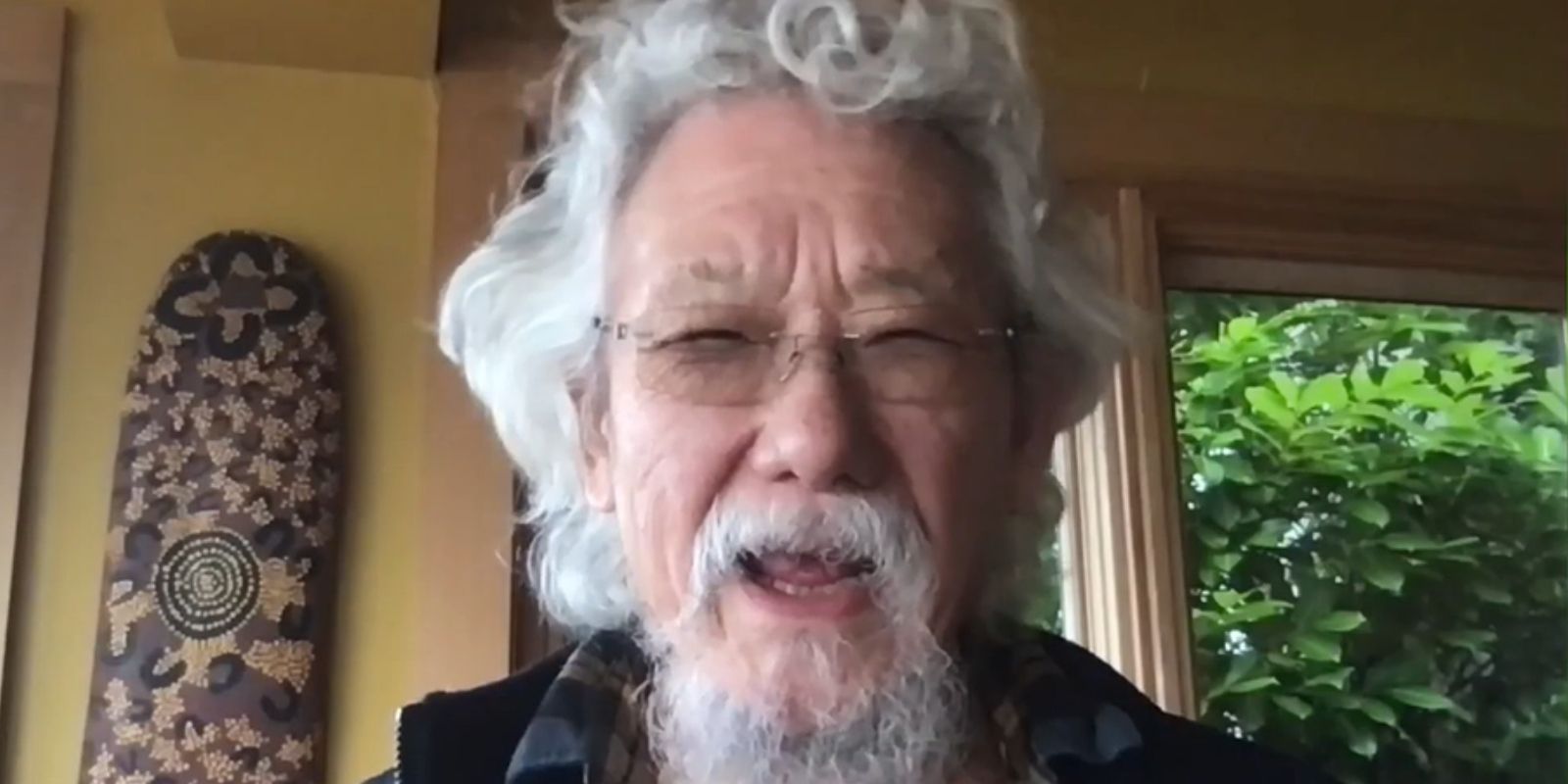 David Suzuki Foundation distances itself from founder's 'blowing up' pipelines comments