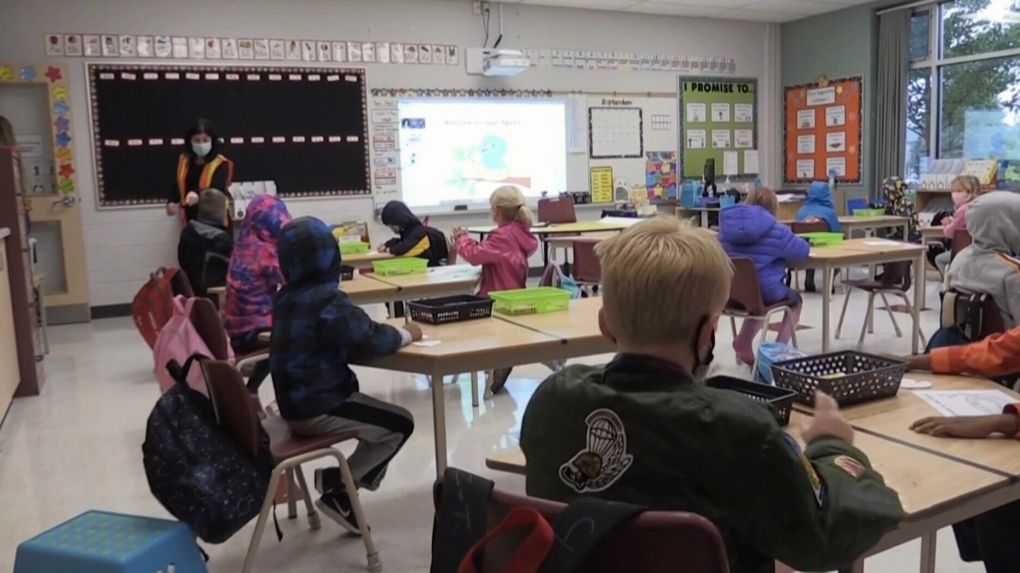 Ontario teachers' union changes rules so that non-white votes count more than white votes