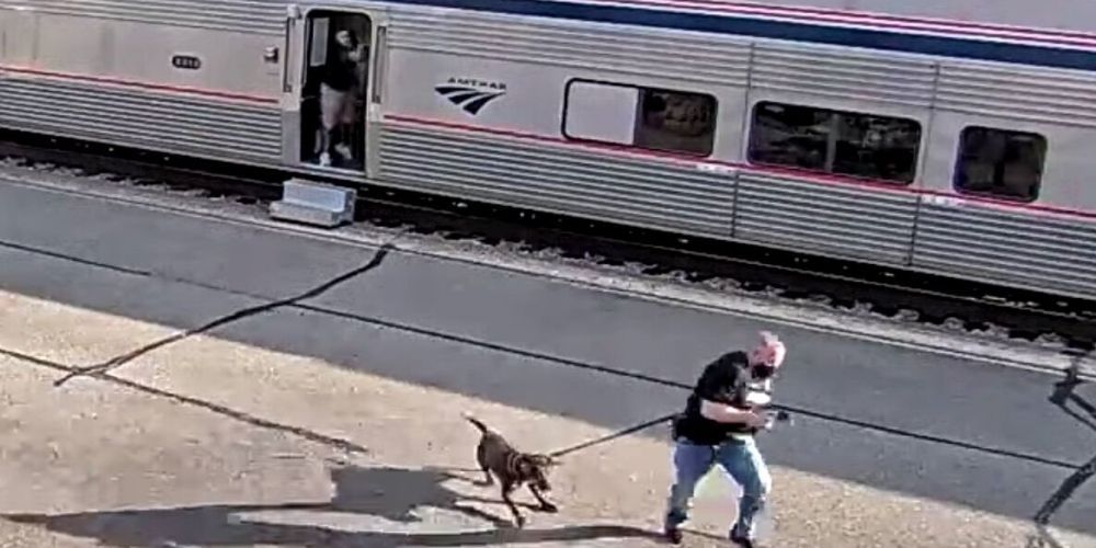 DEA agent killed, officers injured in Amtrak train shooting during routine inspection