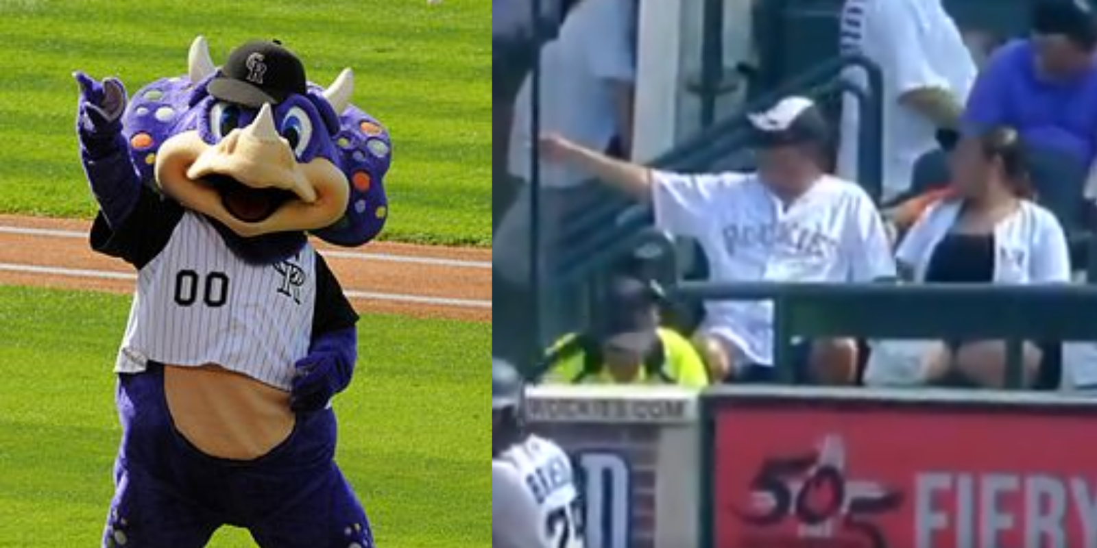 HATE HOAX: Baseball fan mobbed after getting falsely accused of yelling racial slur at game