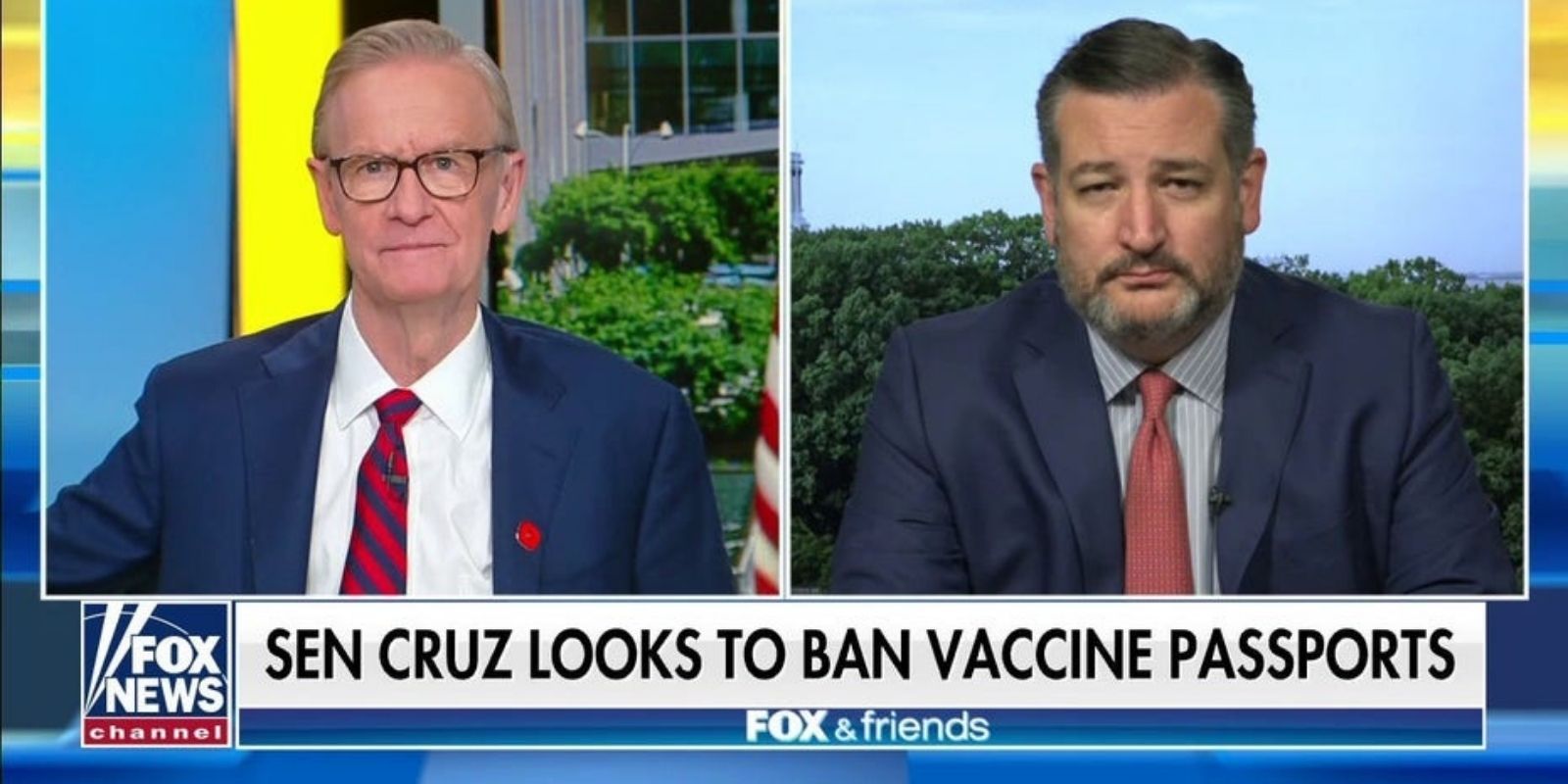 WATCH: Sen. Ted Cruz introduces bill to prohibit federal vaccine passports