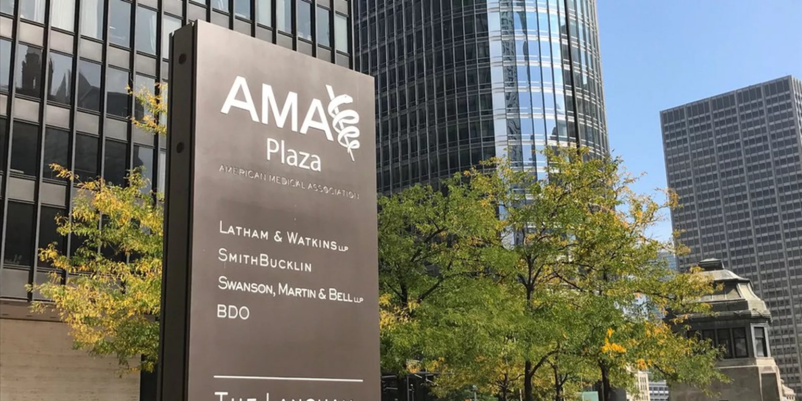 AMA proposes not recording babies' sex on birth certificates