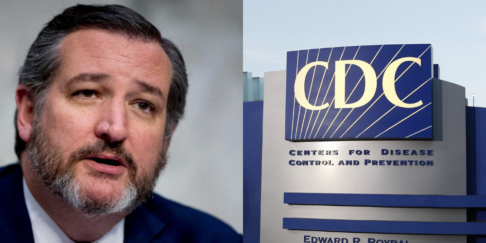 'A virtue signal of submissiveness': Ted Cruz slams new CDC mask guidance
