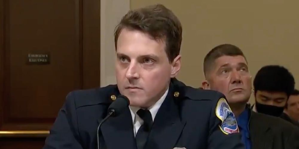 WATCH: DC police officer explains why he believes Jan 6 rioters are 'domestic terrorists'