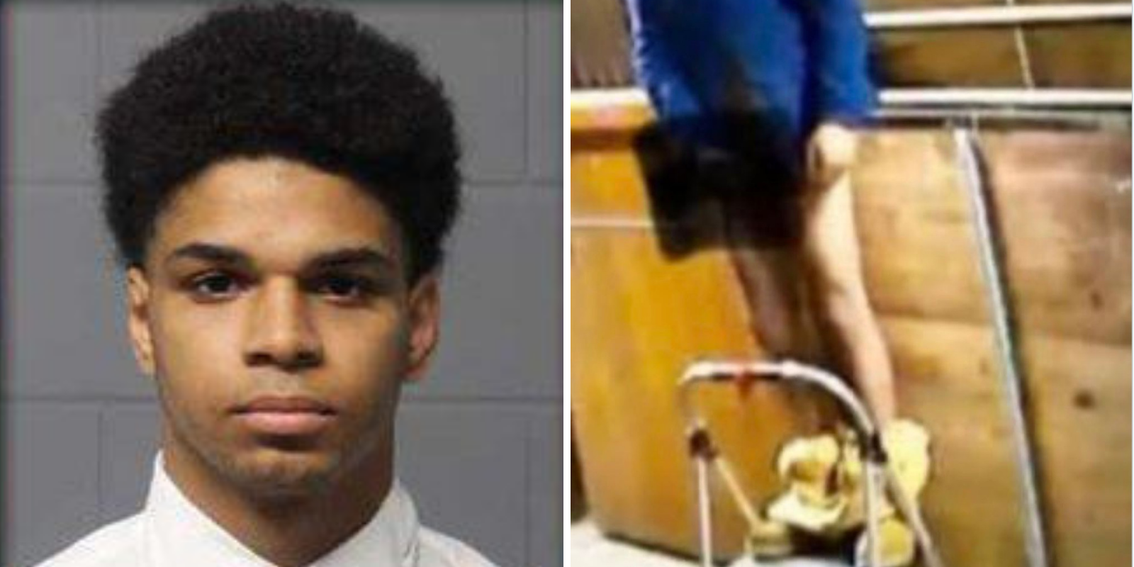 19-year-old man released following arrest for sexual assault of horse