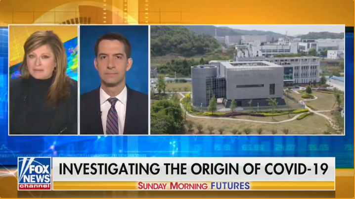 WATCH: Sen. Cotton demands answers on the 'lab leak,' says Fauci is 'playing word games'