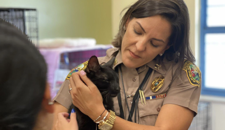 Binx the cat reunited with his family after Surfside condo collapse