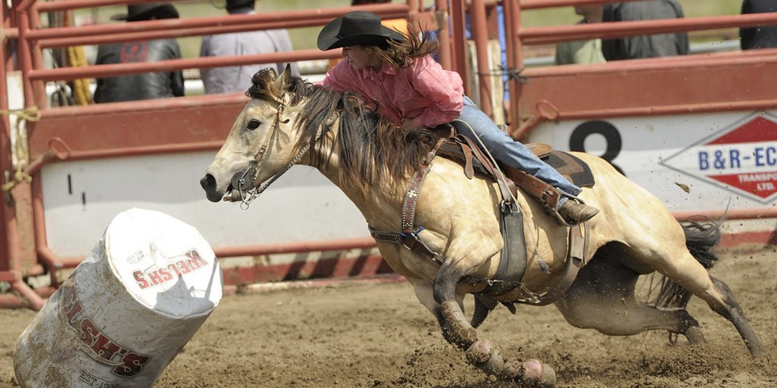 Antilockdown rodeo held in Alberta results in no new COVID cases The