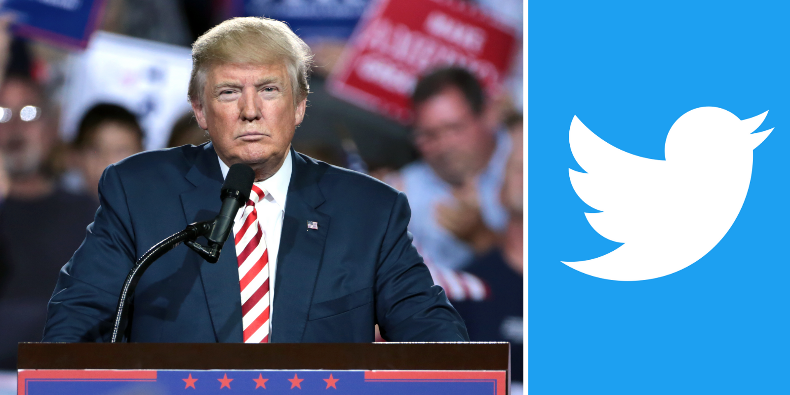 Twitter bans 'From the Desk of Donald J. Trump' account for the crime of reproducing his words