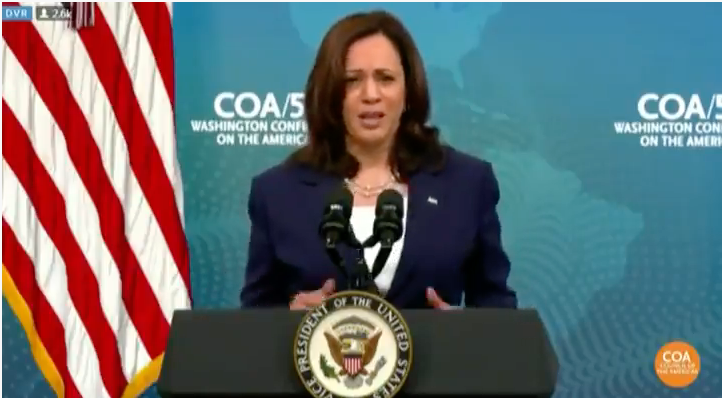 WATCH: Kamala Harris suggests fighting climate change will fix the Biden border crisis