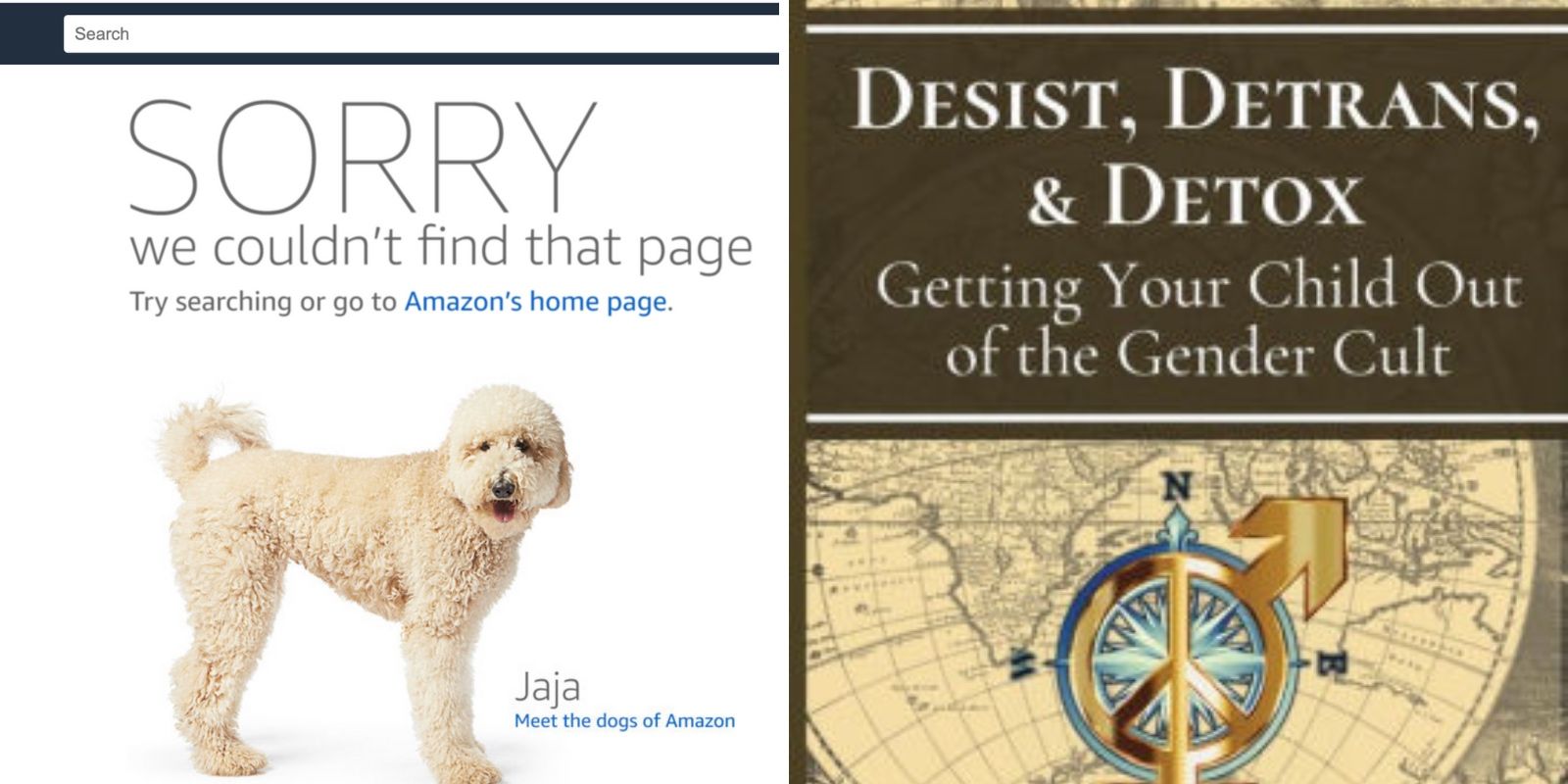 Amazon suppresses another book on the truth of trans