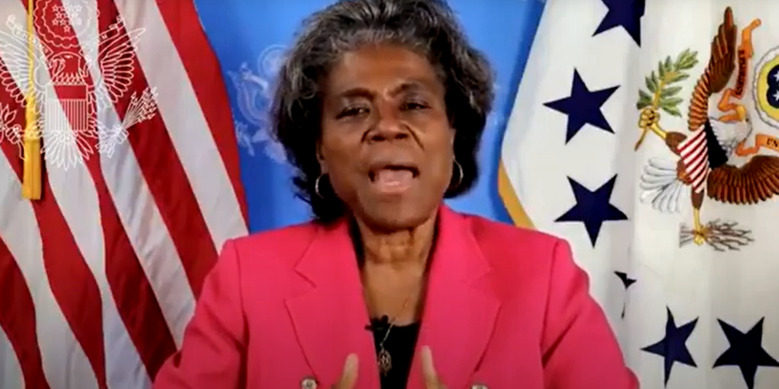 WATCH: Joe Biden's ambassador to the UN says 'white supremacy is weaved into' the founding principles of America