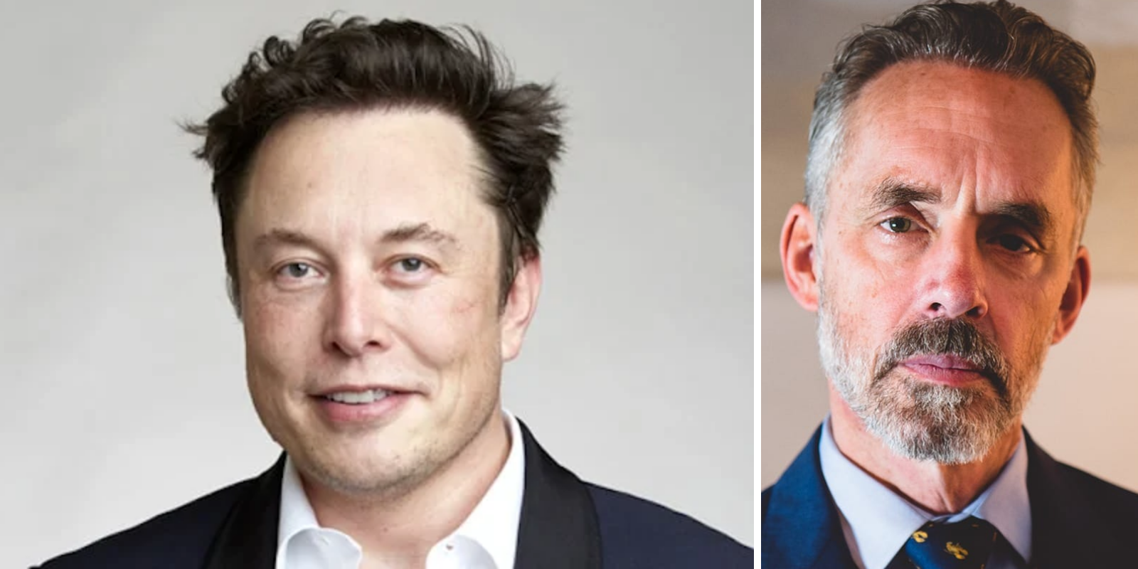 Jordan Peterson Invites Elon Musk Onto His Podcast Musk Responds The
