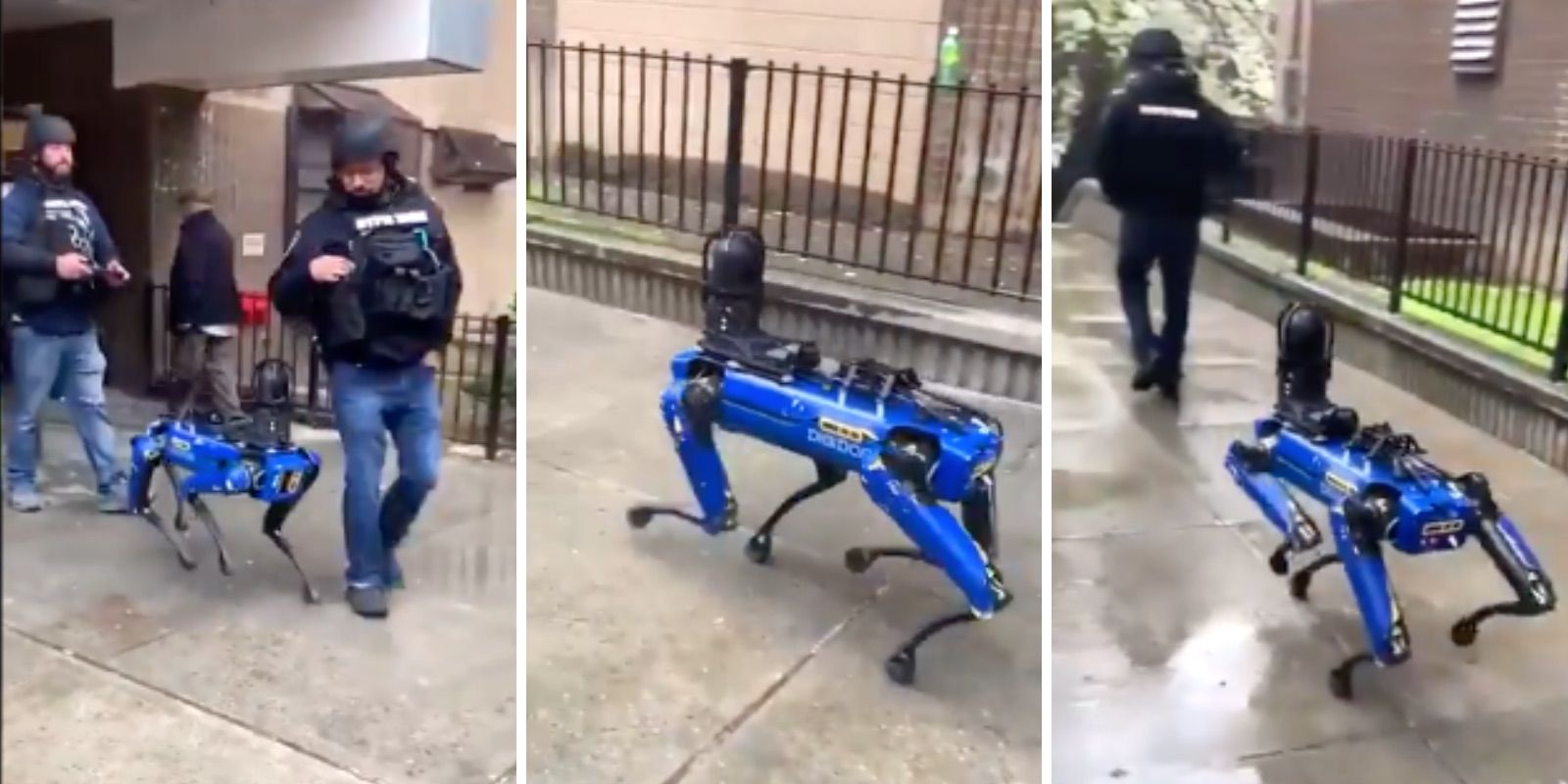 Robot dogs enlisted to fight crime in New York City cost $75,000 each