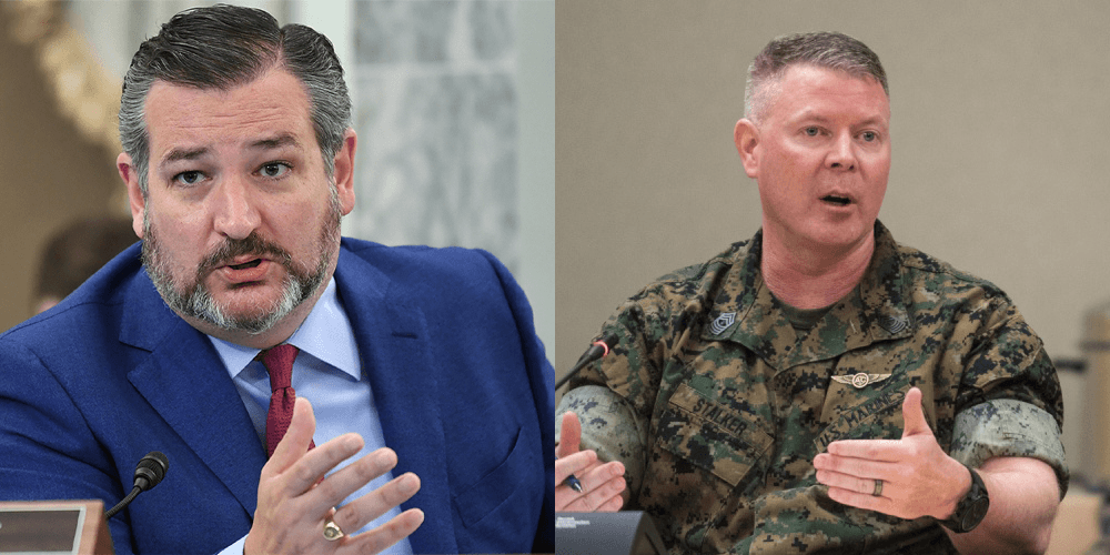BREAKING: Ted Cruz demands the US Marines stop attacking civilians who criticize policy like Tucker Carlson