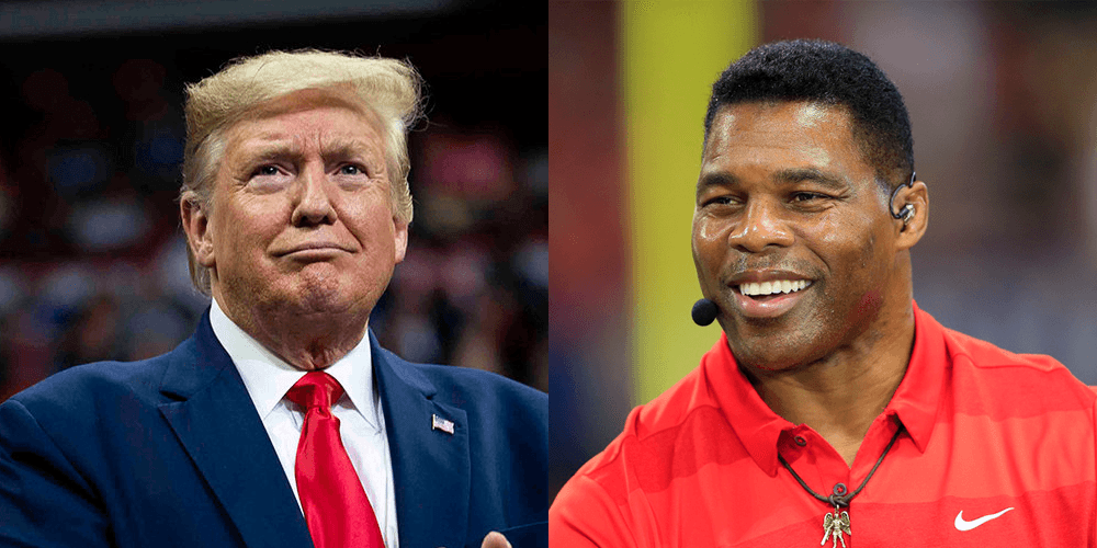 BREAKING: Trump endorses former NFL player Herschel Walker for US Senate