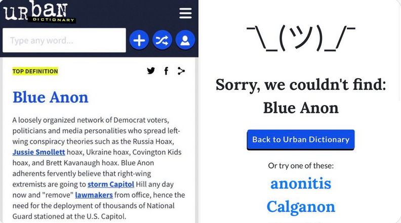 Google and Urban Dictionary censor 'Blue Anon' following widespread mockery of left-wing conspiracy theories