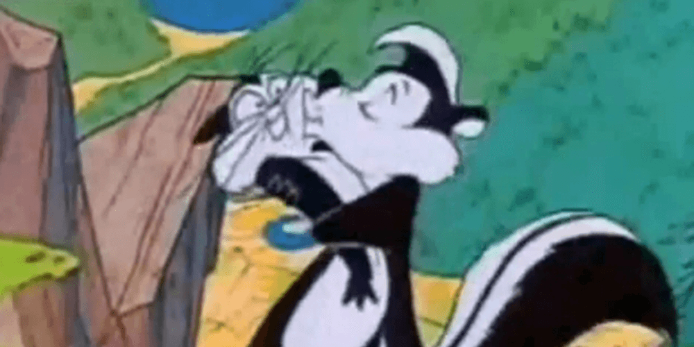 NYT columnist: Pepe Le Pew 'added to rape culture'—time to buy old cartoons before they're banned