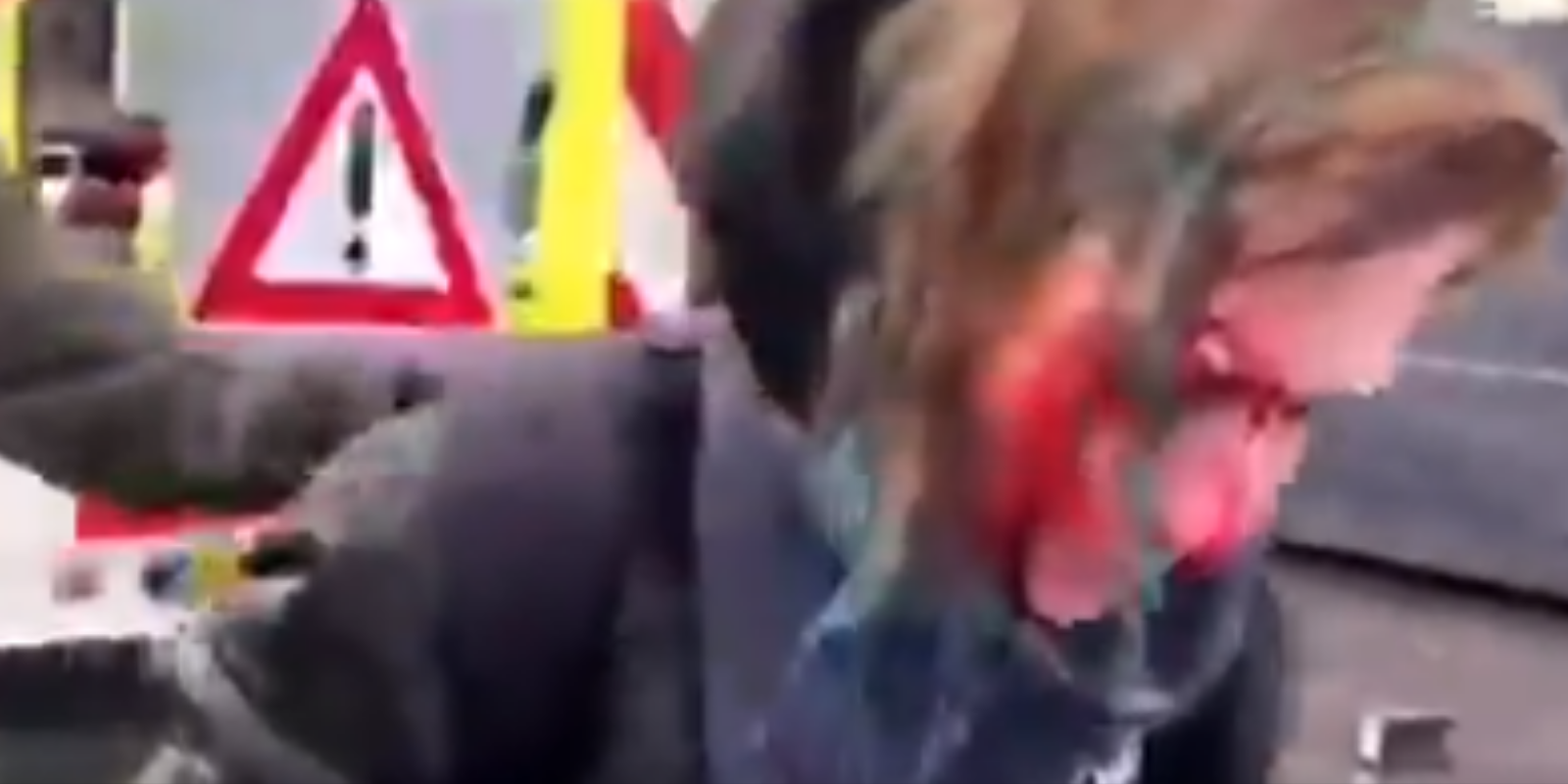 WATCH: Shocking videos show brutal police assault by Dutch police
