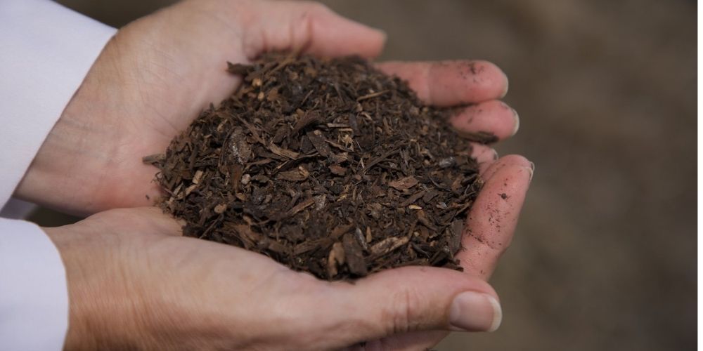 Composting of human remains begins in Washington state