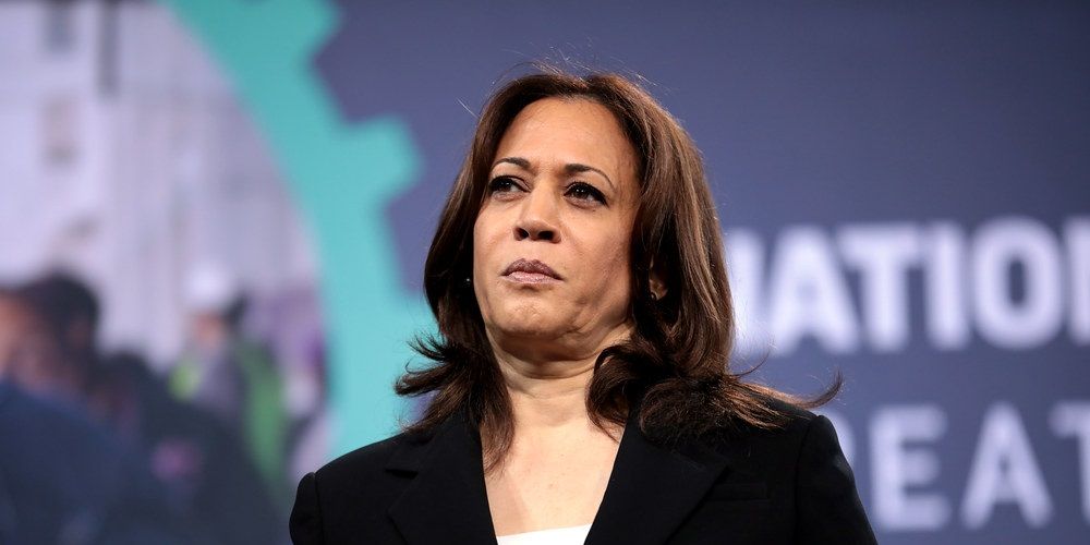 Journalist who covered 2020 riots DEBUNKS Kamala Harris's claim that police showed more restraint with Trump rioters than BLM