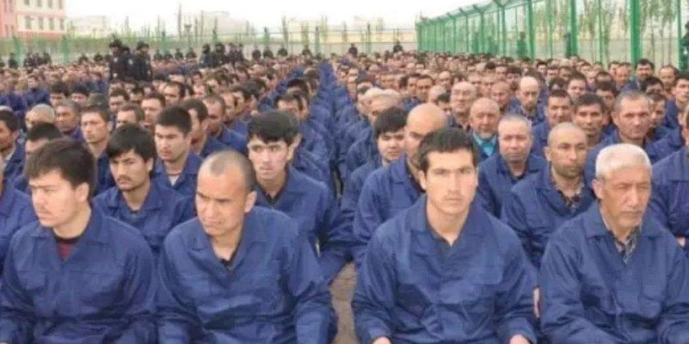 Canadian ambassador to the UN calls for investigation into Chinese Uyghur genocide