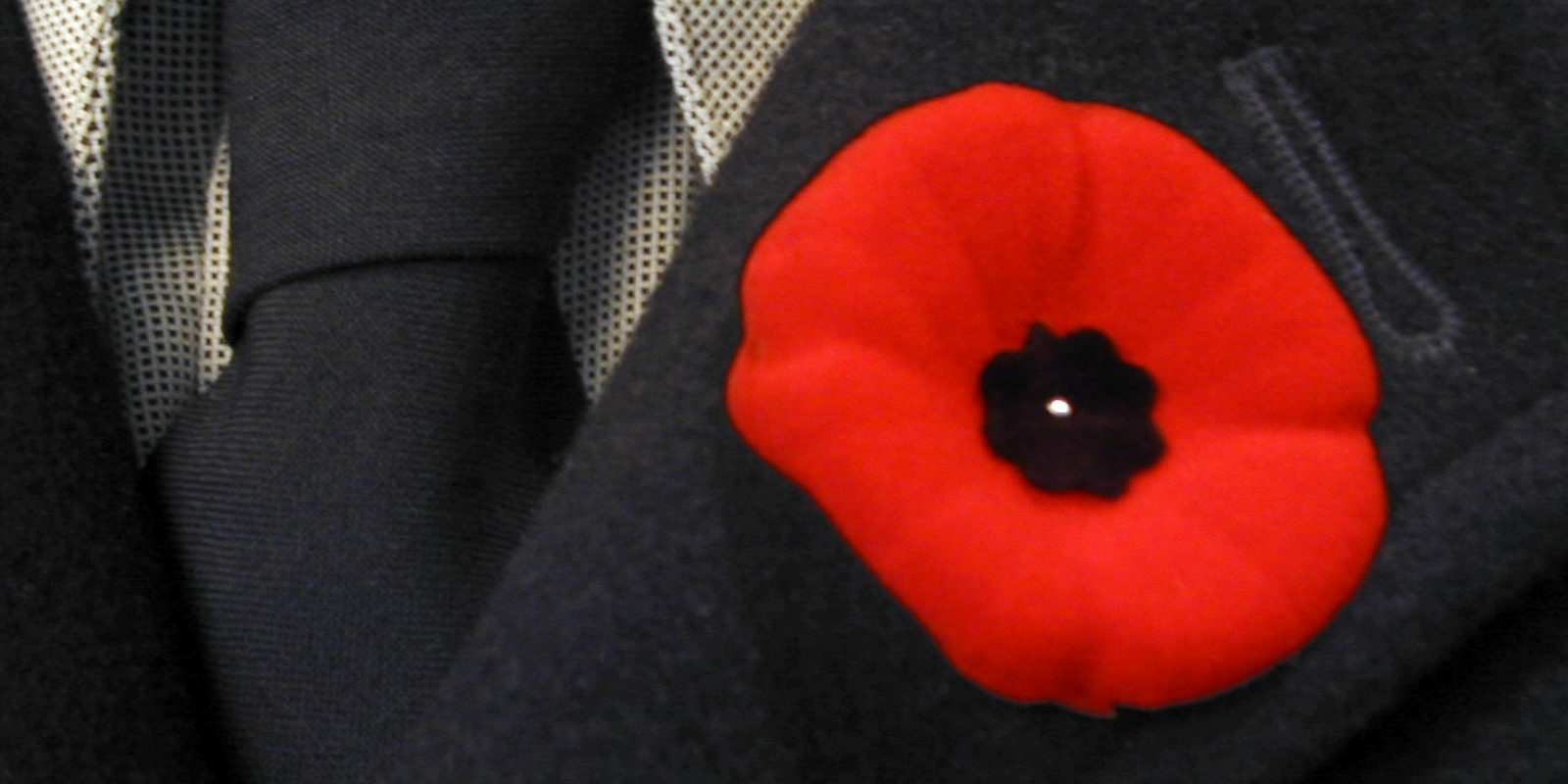 Percentage of Canadians who will wear poppy down 13 percent from last year: poll