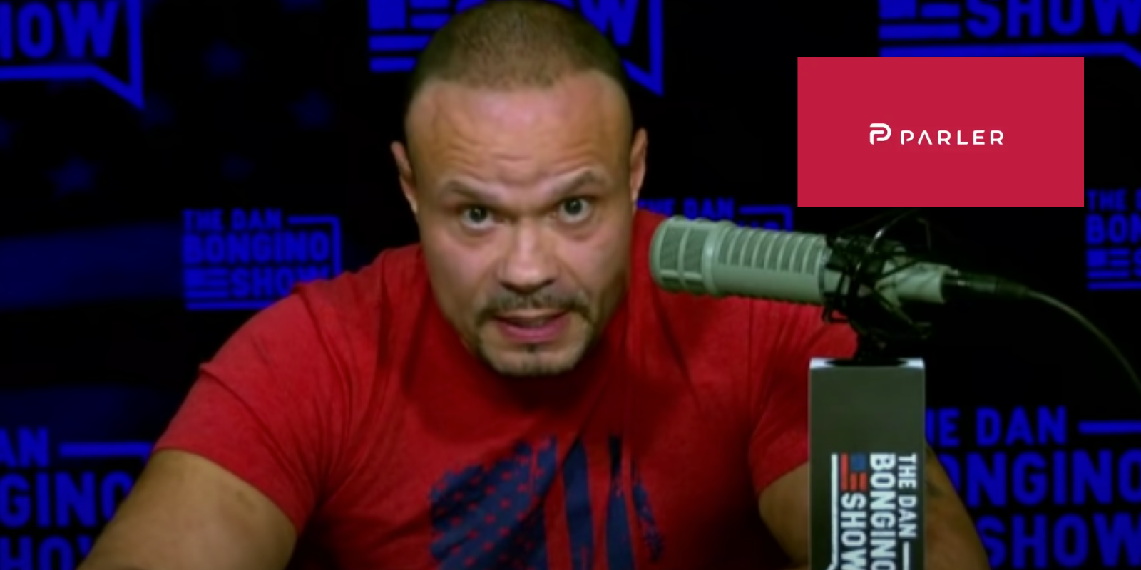 Bongino-backed Parler soars to #1 spot in app stores, passes TikTok and YouTube